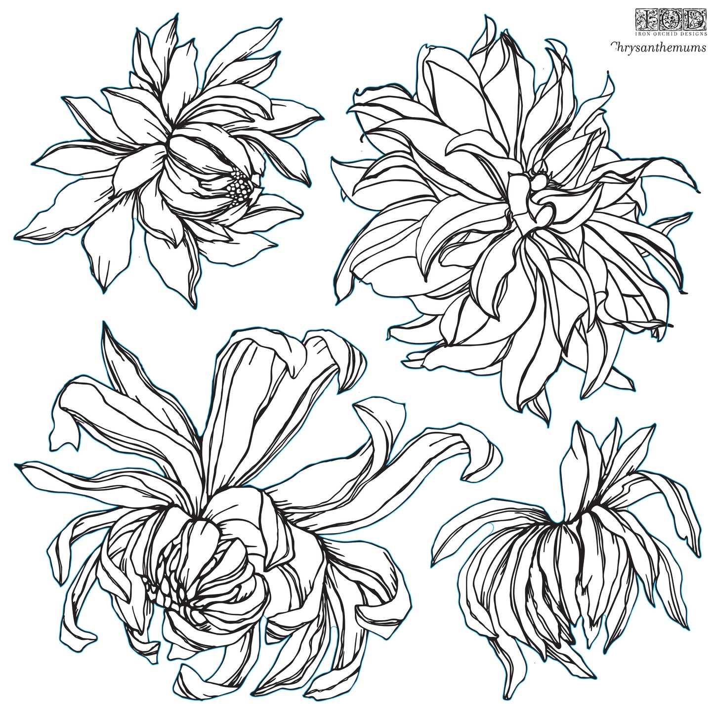 Chrysanthemum stamp IOD