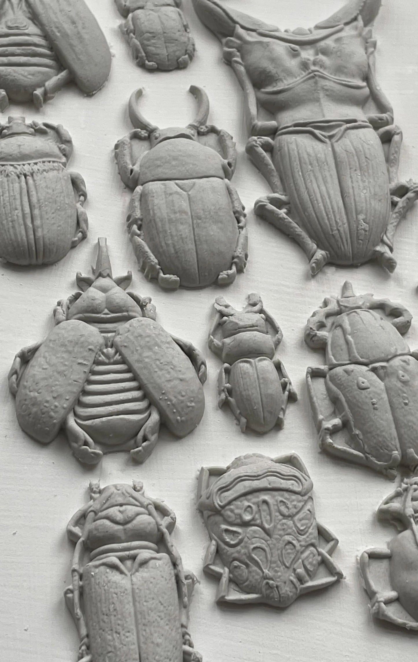 Specimens mould IOD