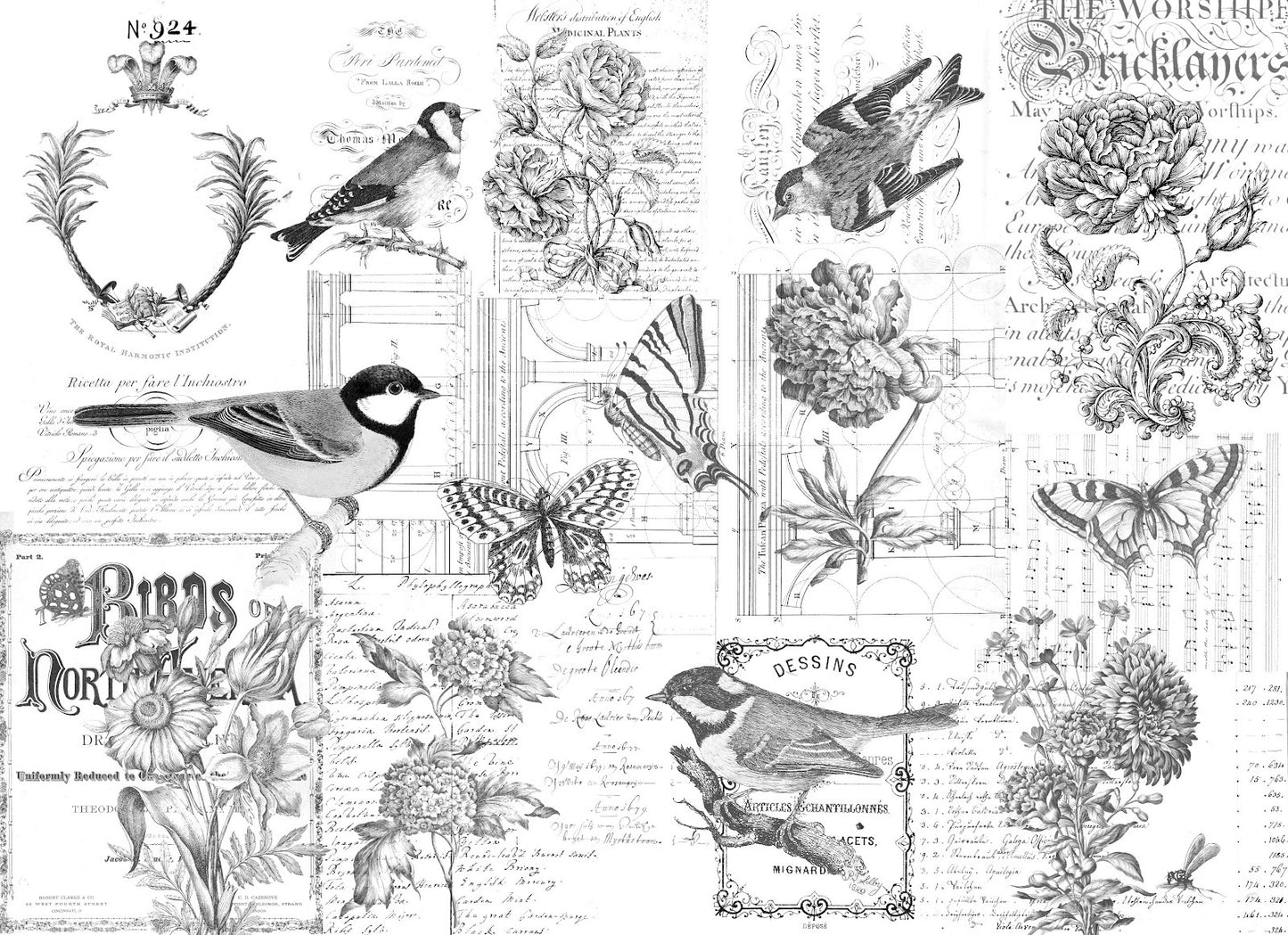 Paintable Botanical decoupage paper