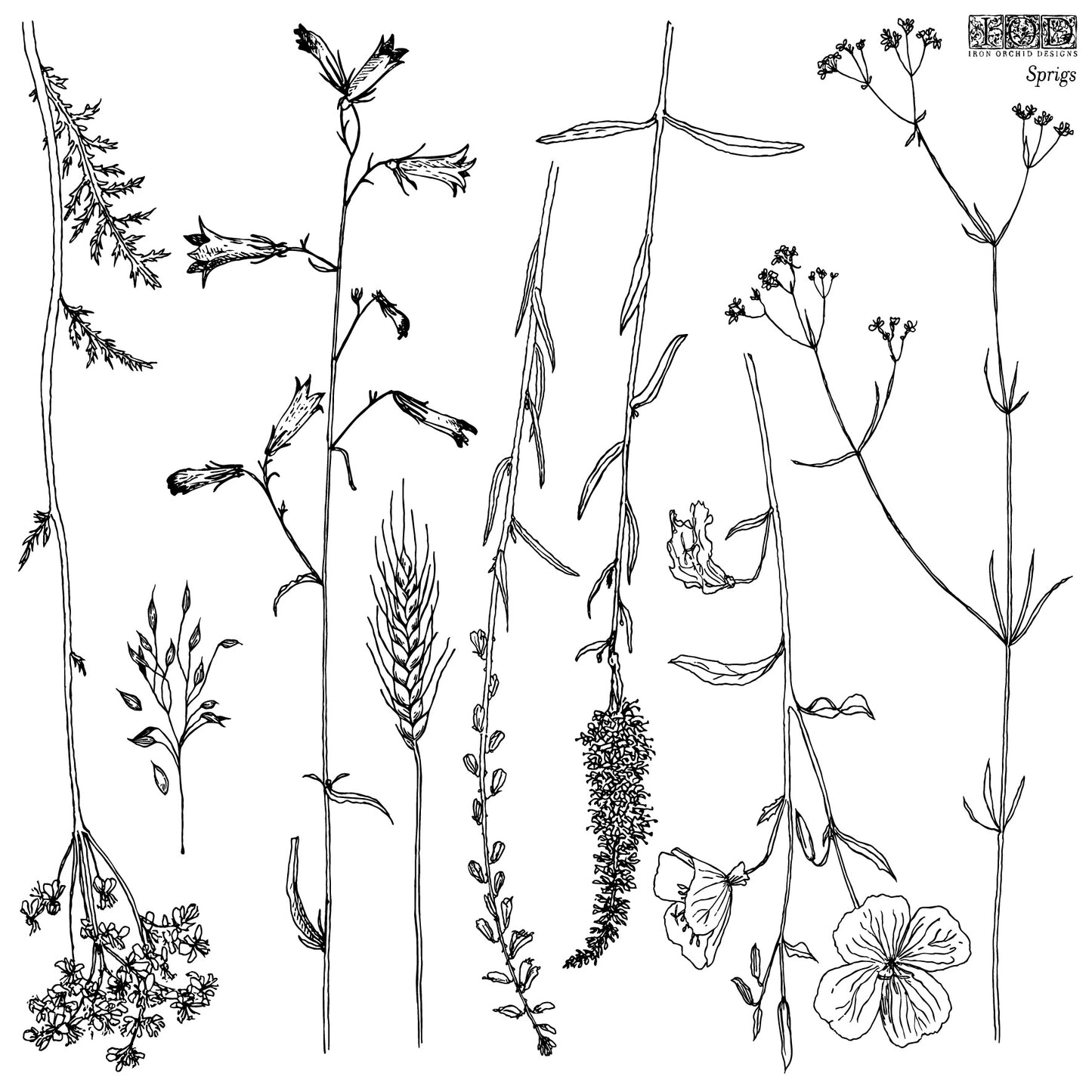 Sprigs stamp IOD