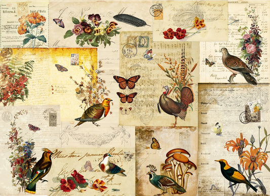 Fall flock master board