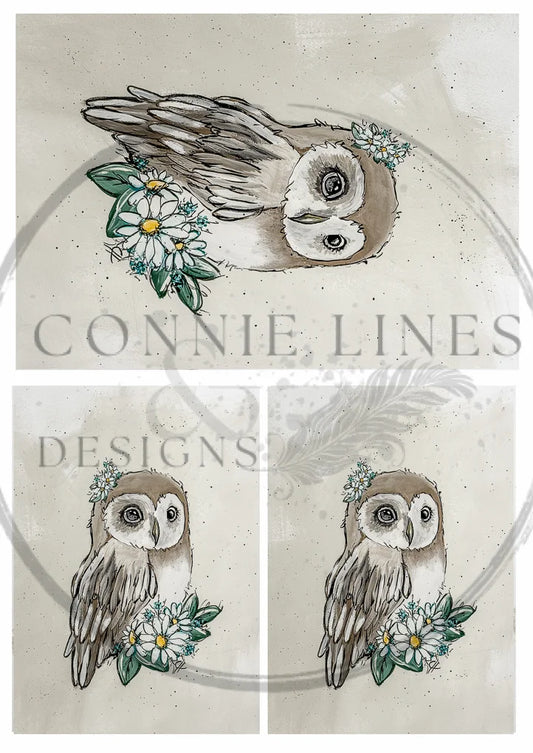 Owl Will Always Love You Rice Paper multi
