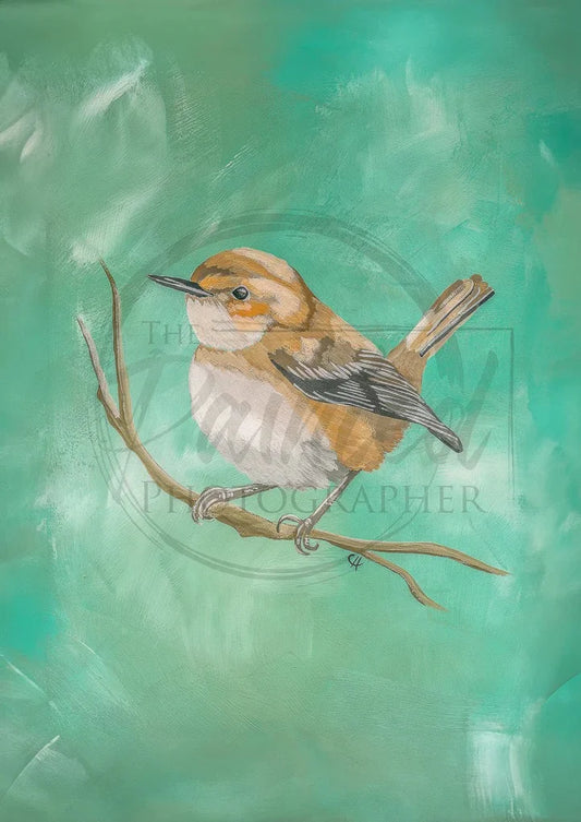 Wren