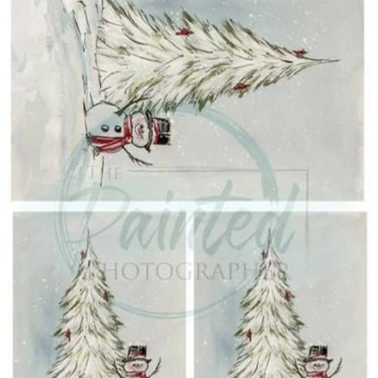 Winter Visitors Multi