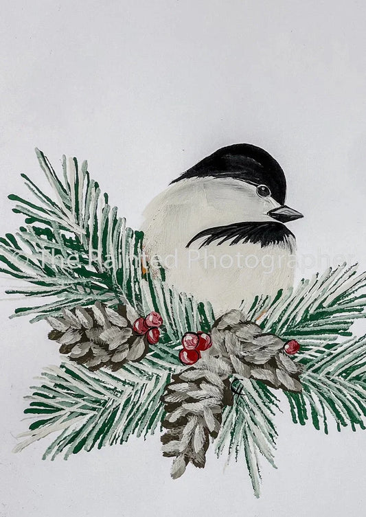 Winter Chickadee