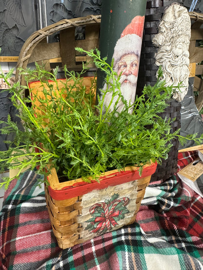 Basket with candy canes