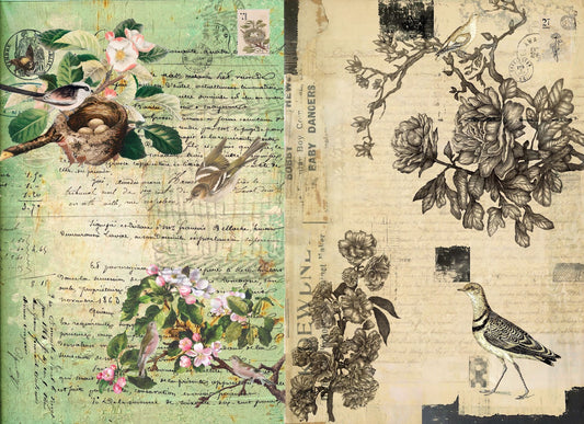 Botanical Blocks Decoupage paper