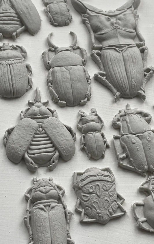 Specimens mould IOD