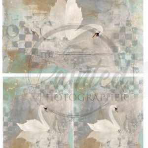 Reflections of Grace Multi