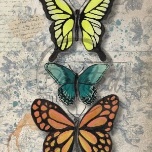 Butterfly Trio
