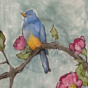 Whispering Spring with Color